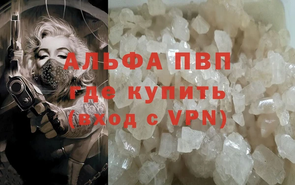 молекула духа Лихославль