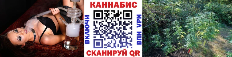 Марихуана план  Купить закладки  Кузнецк 